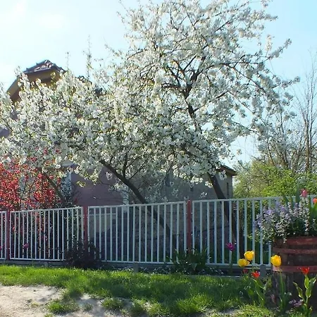 Müller's Waldhof