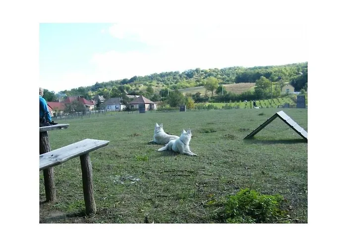 Mueller's Waldhof Case de vacanță *